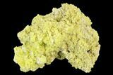 Sulfur Crystal Cluster on Matrix - Nevada #129750-1